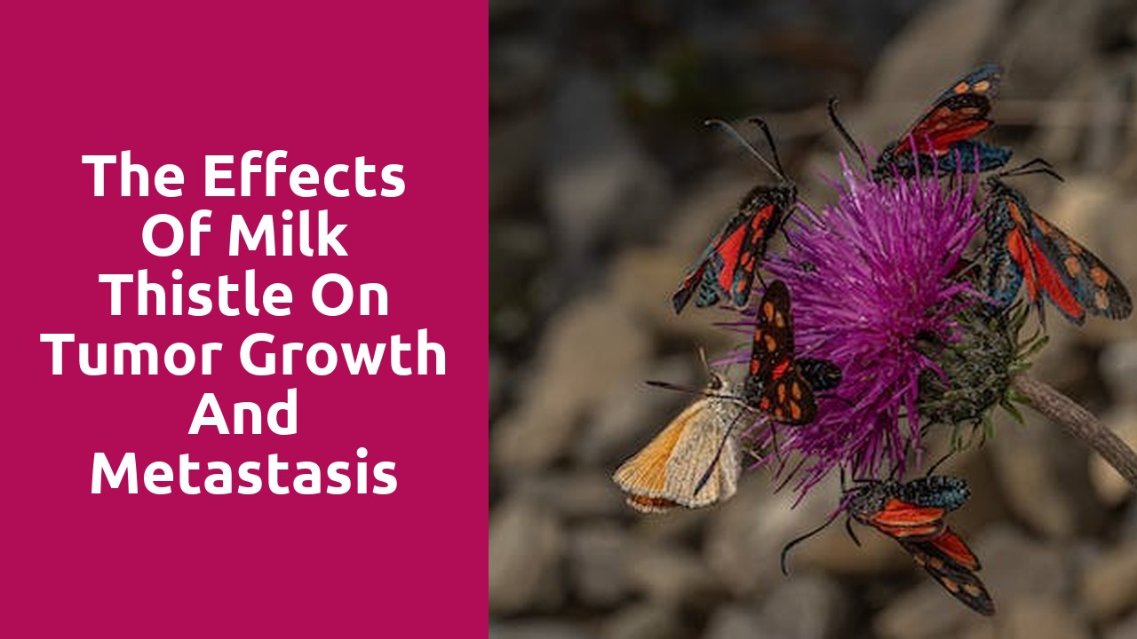 The effects of Milk Thistle on tumor growth and metastasis Milk Thistle